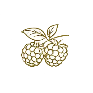 Fruity Diffusers