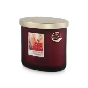 Christmas Comfort - Twin Wick Soy Wax Candle