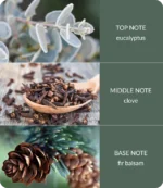 notes-shimmeringforestsquare-medium