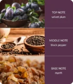 notes-wintervelvetsquare-medium