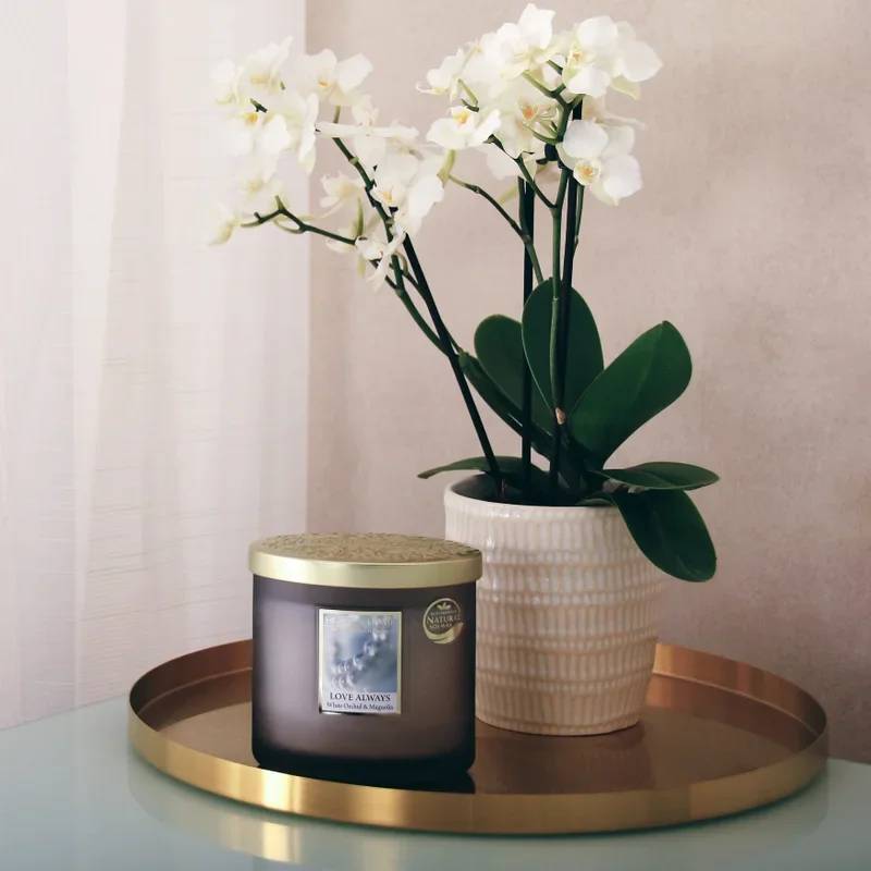 Soy Wax Candles by Heart and Home