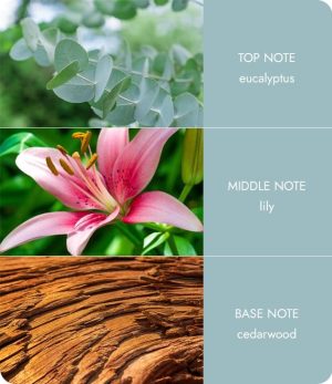 notes-botanicalbreezesquare-medium